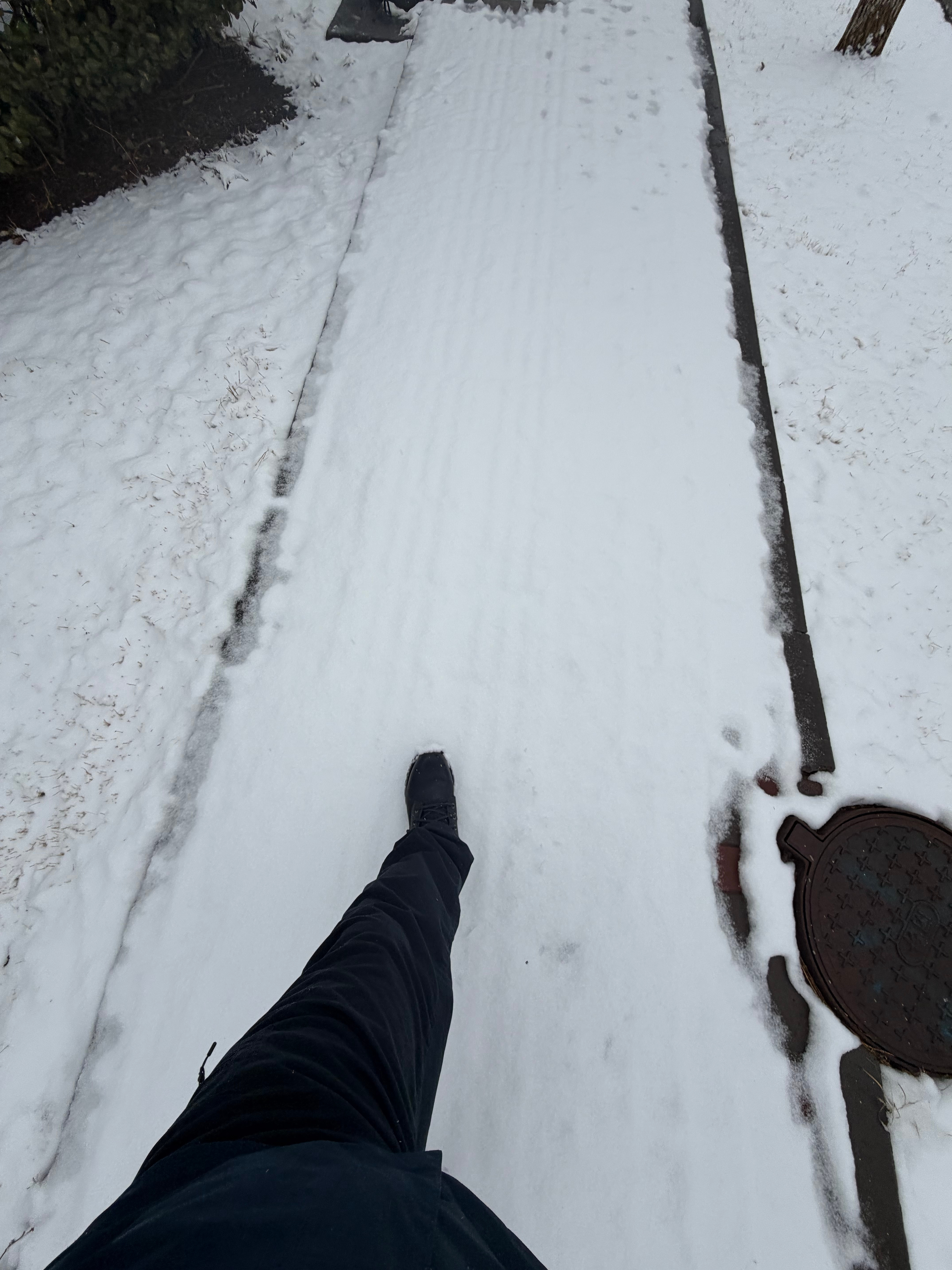 最后一张踩雪的“嘎吱嘎吱”是给南方的朋友们专门拍的 天津·中国天津自由贸易试验区