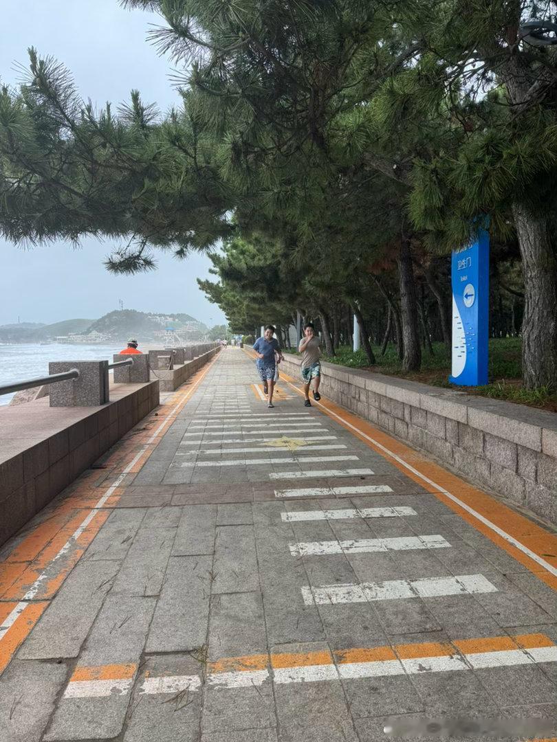今年天气不好，没有适合下海的天。 