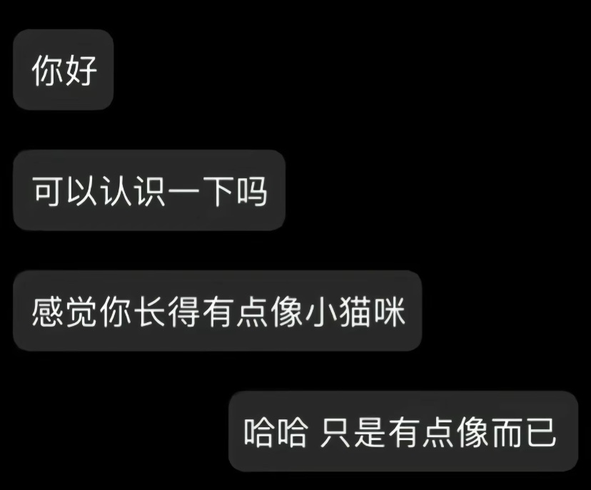 芝士有一点点像啦>_< ​​​