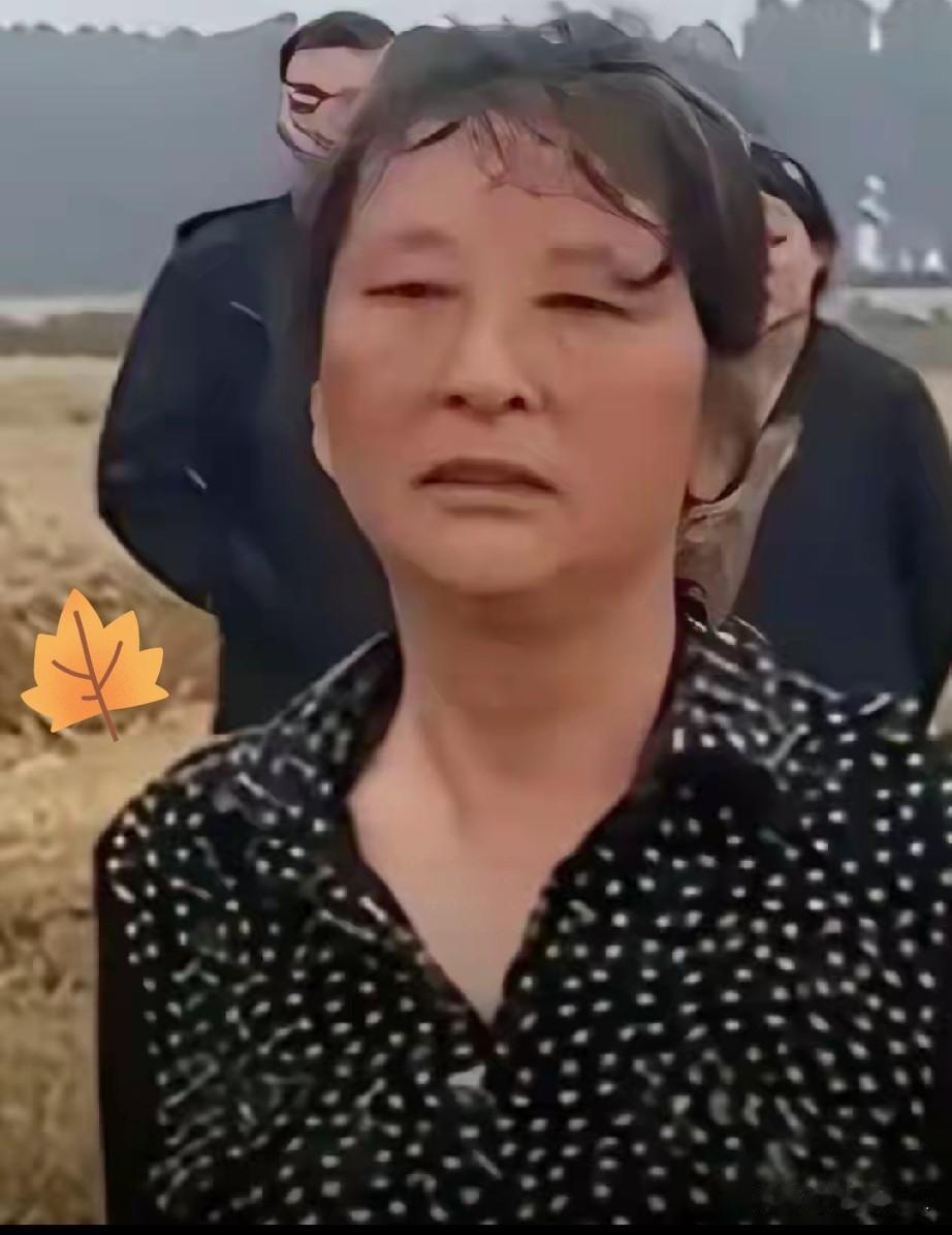 这几天刷到那事儿，农机手襄阳收麦遭“割四赔五”
农户受牵连 拦不到收割机
问题要