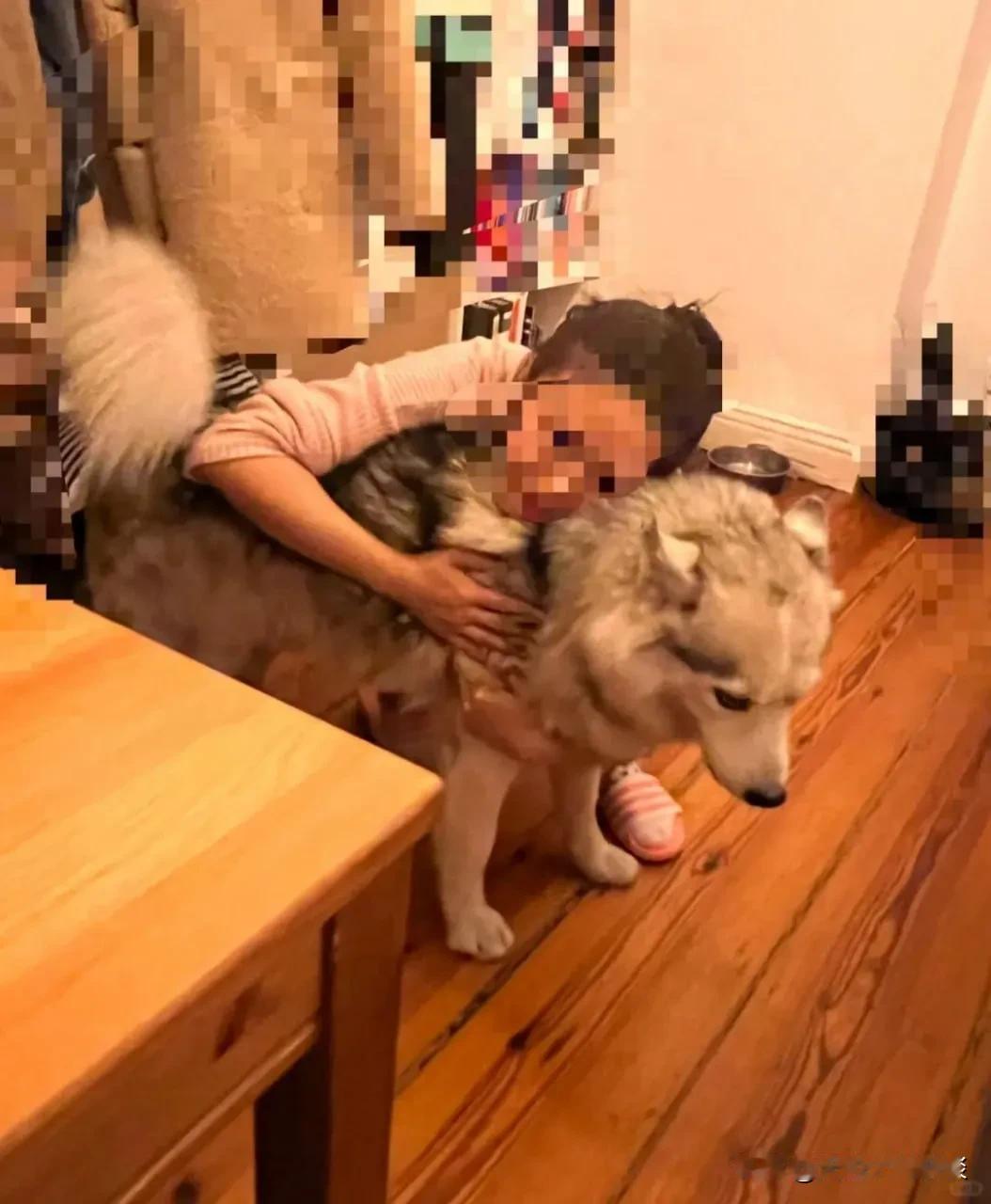 标题：德国邻居误会中国居民吃宠物狗，警方介入调查真相——中德宠物观念差异引发的思