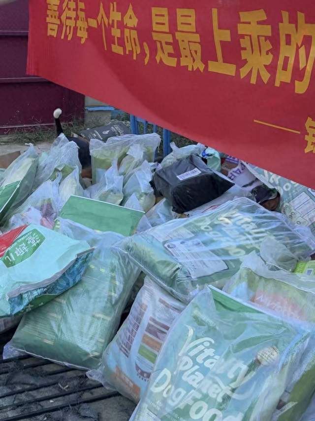 雷击木品牌锦渝造物的公益之行，为178只流浪动物送去千余斤口粮