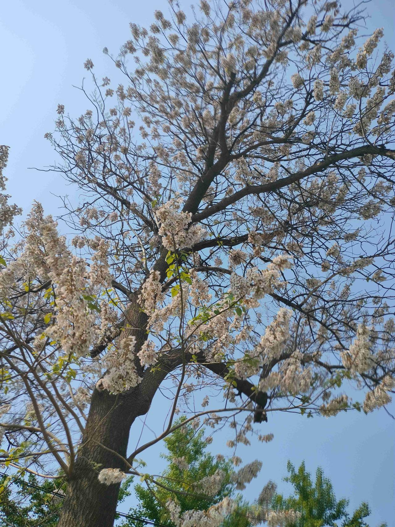 我的今日状态：💰期待暴富
我这里的天气：🍂微风