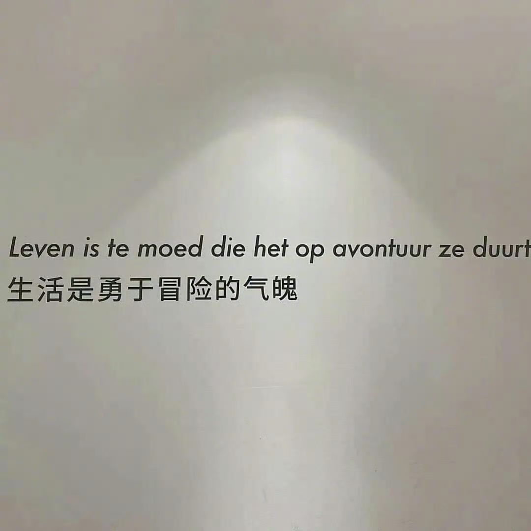 生活是勇于冒险的气魄 