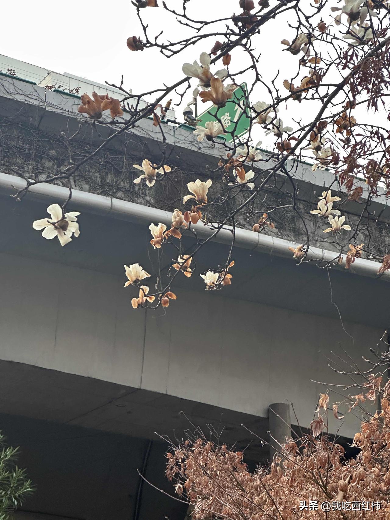 男朋友非常上进但没钱 可以结婚吗
大学恋爱至今 近十年了 感情很好 独居在非双方