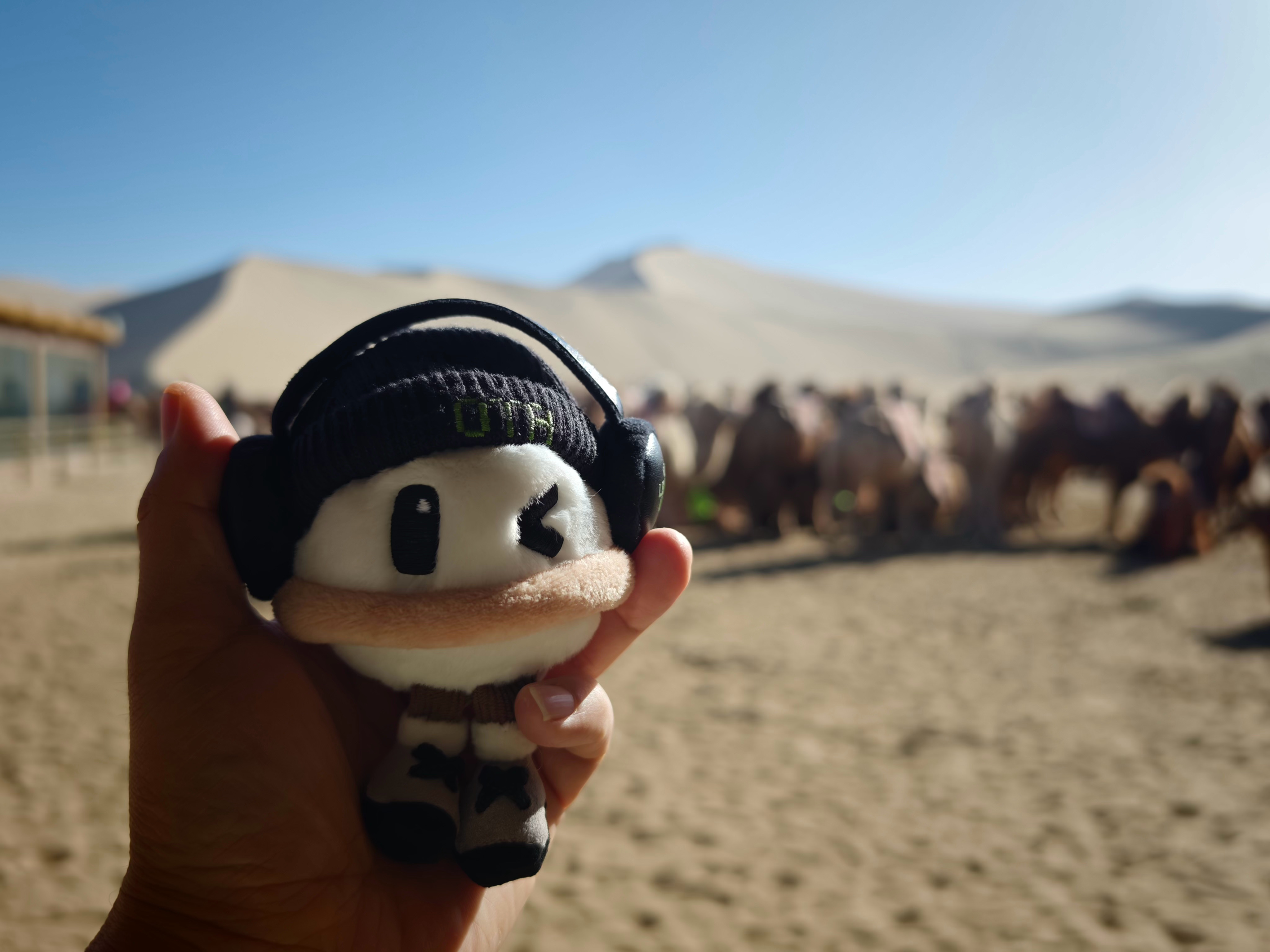 到哪里，我都带着理想同学。所以，是不是该给我一个理想周末的让我带着去自驾游呀理想