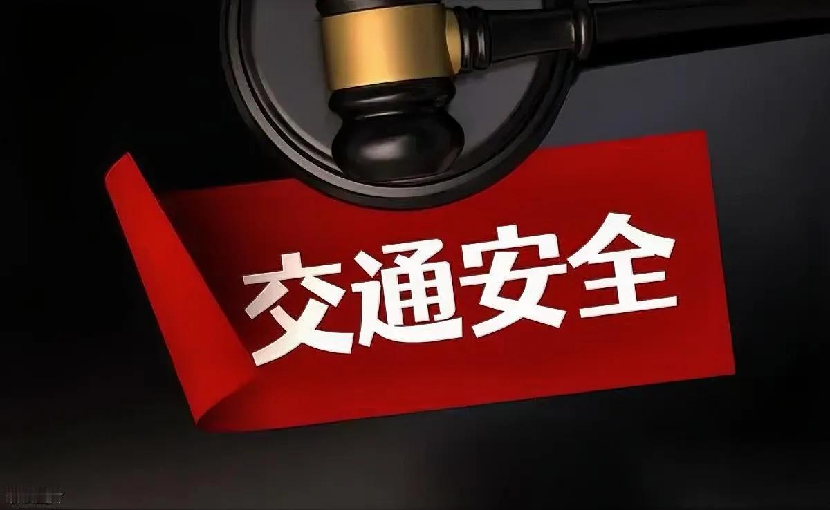 拉布拉多开车上路？

视频惊到全网！真相更吓人

最近某网红拉布拉多