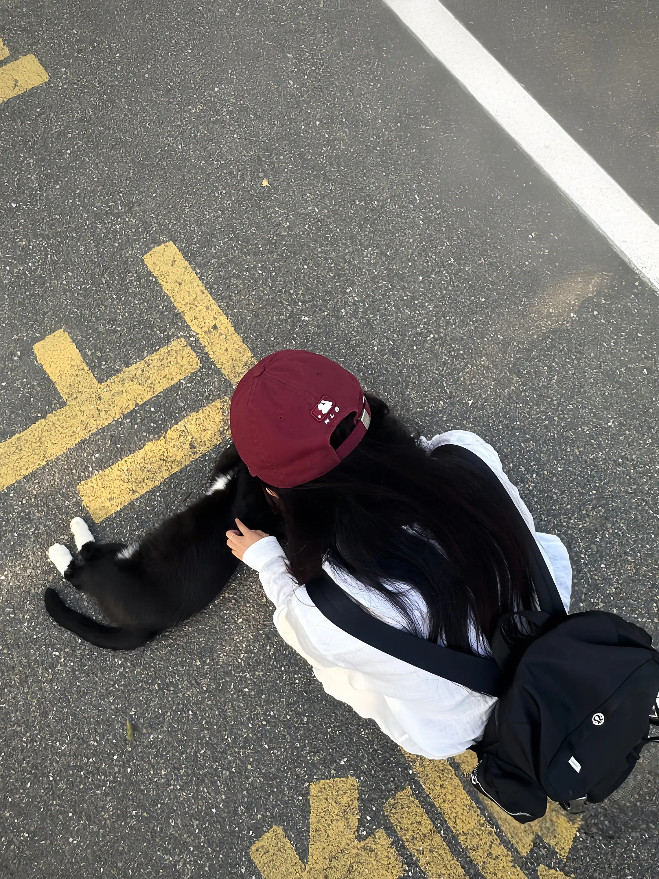 女性总是渴望一种具象的爱 爱她为猫猫蹲下时凌乱垂下的发丝