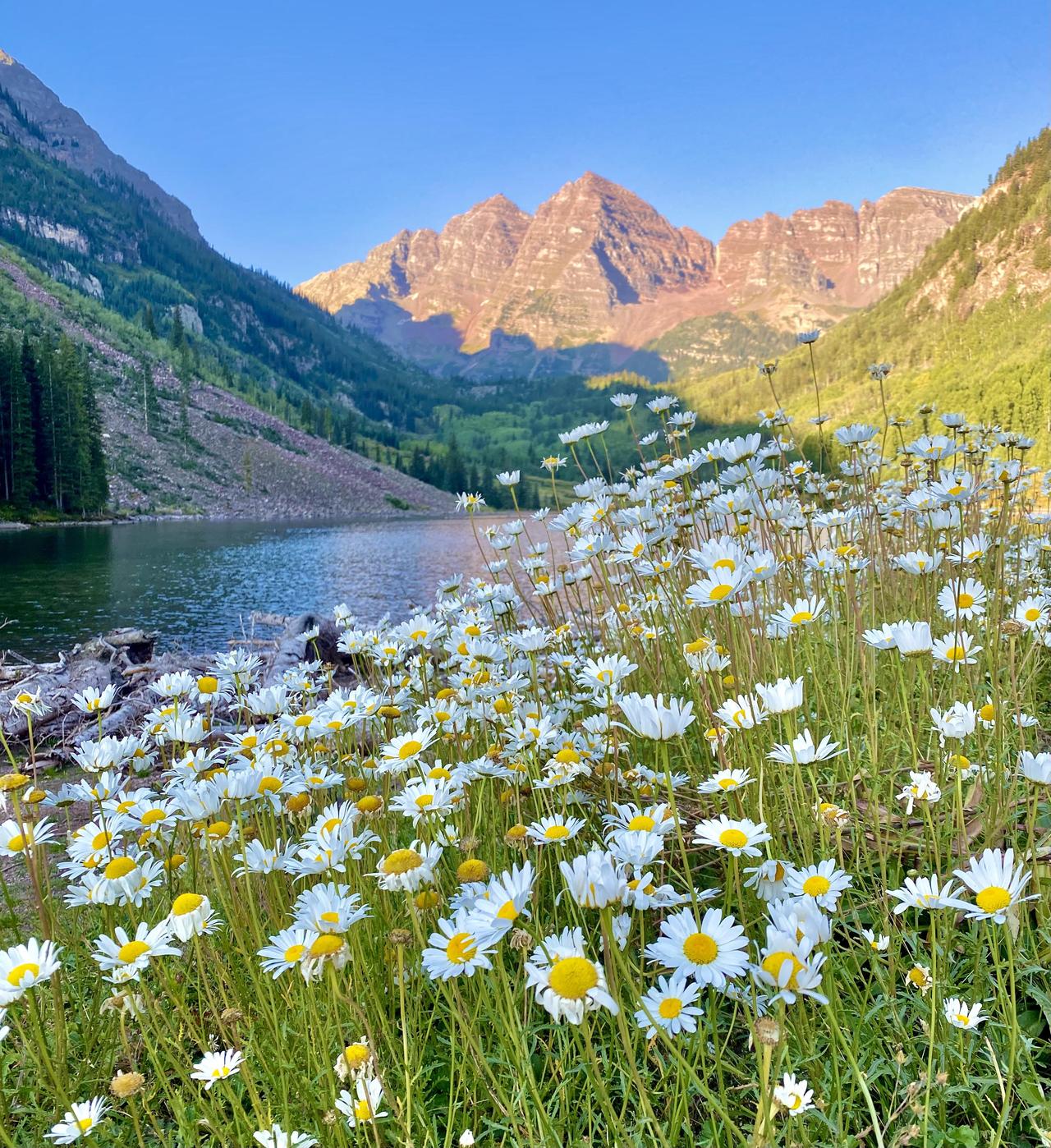照片里的Maroon Bells几乎看不出栗色，但当地人坚持说岩石真有这颜色。这