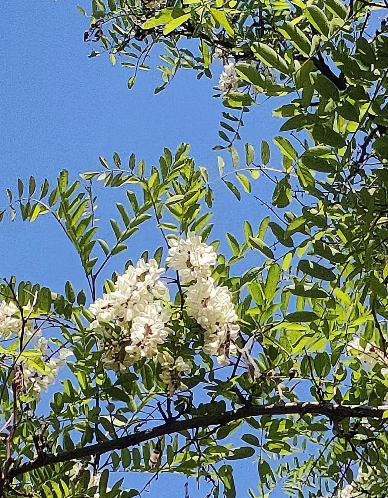 人老了想要多活几年，这8件事千万不要做:
​1，五一小长假不要打电话给儿子闺女，