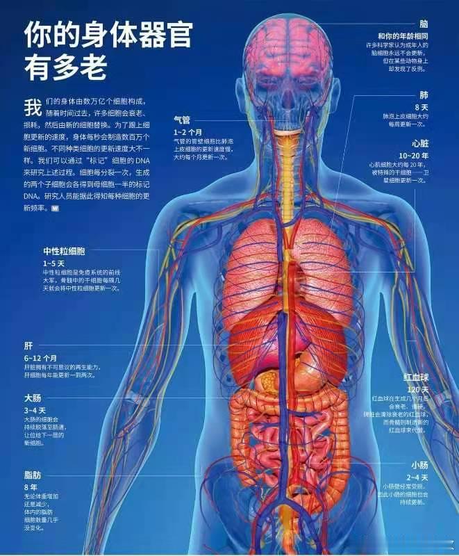 杨振宁96岁的时候喜提二胎，他的先天心力我都怀疑是不是到100分了，一般人80岁