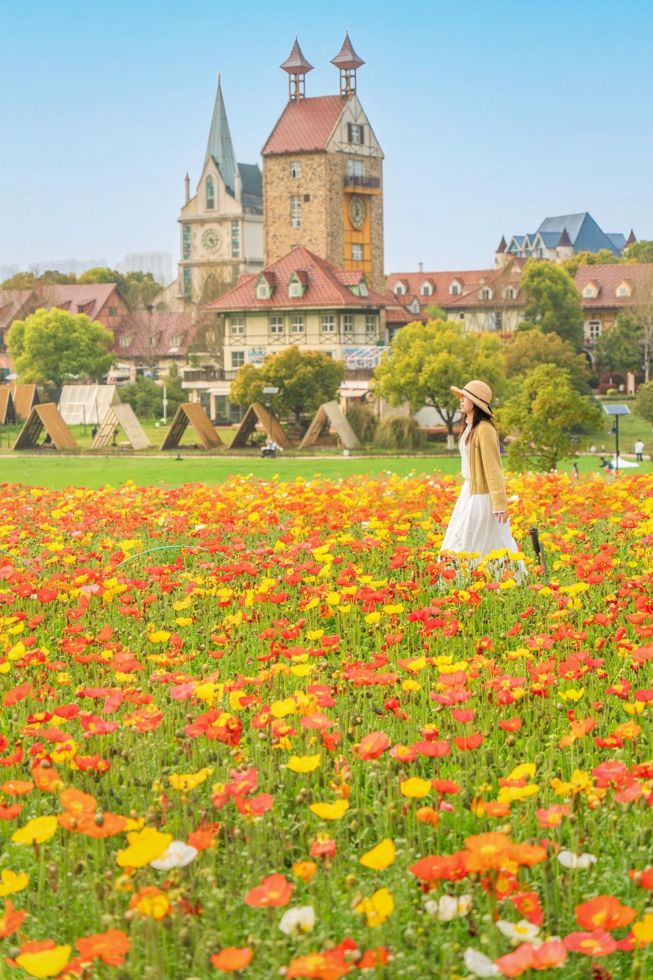 春天你好 武汉樱花 武汉樱花季 春天