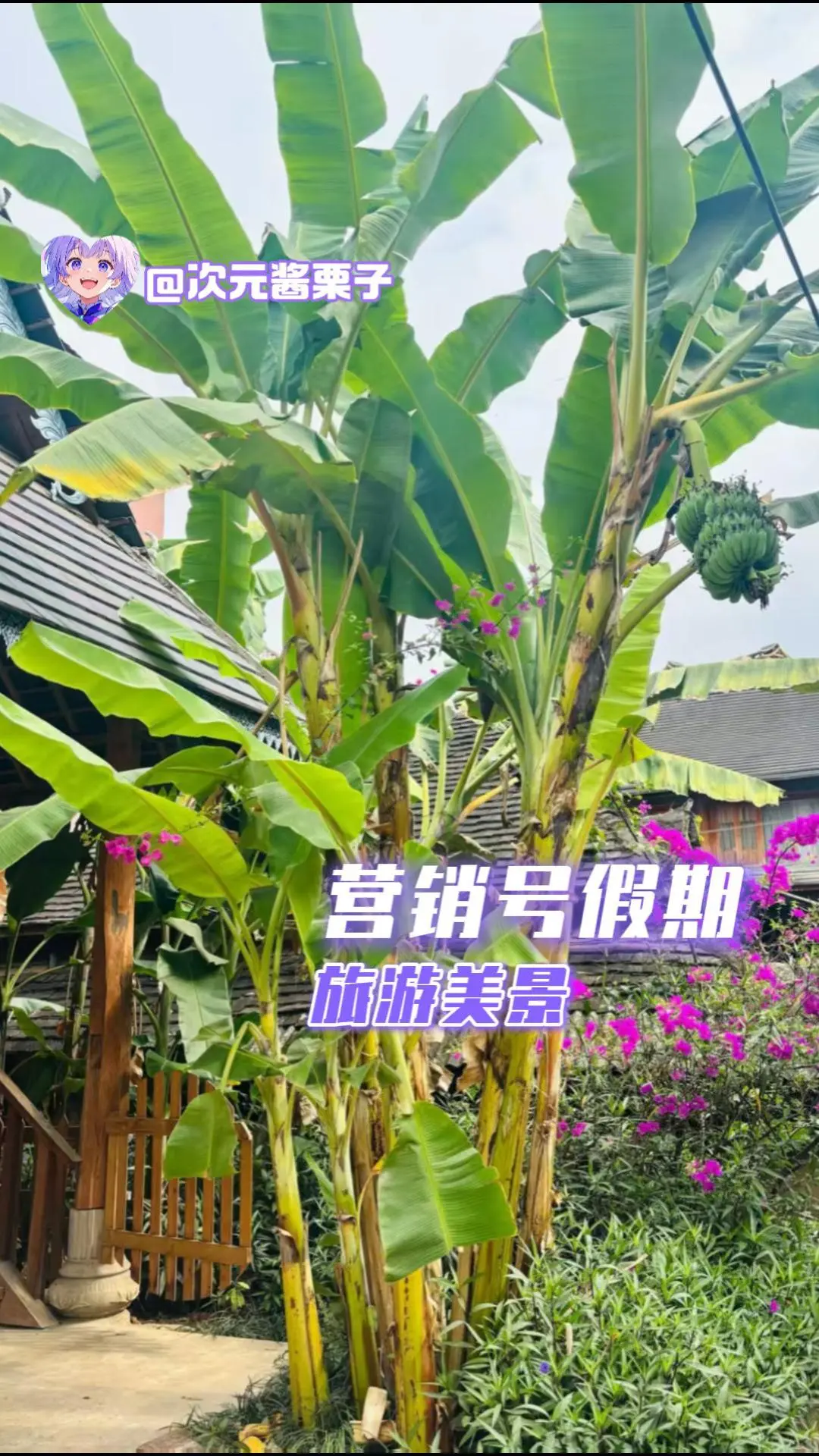 营销号假期，旅游美景。