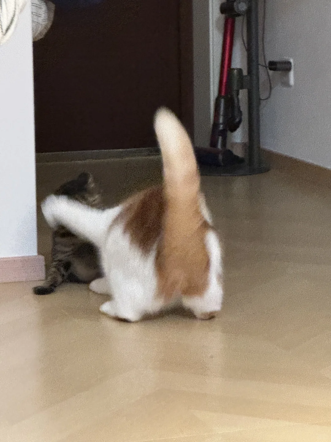 打打打打打打打打