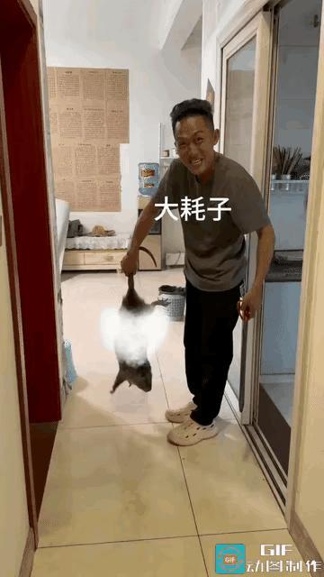 离谱！广东住户深夜逮住巨型老鼠，体型硕大众人直呼吓人。
 
当晚一家人正悠闲坐在