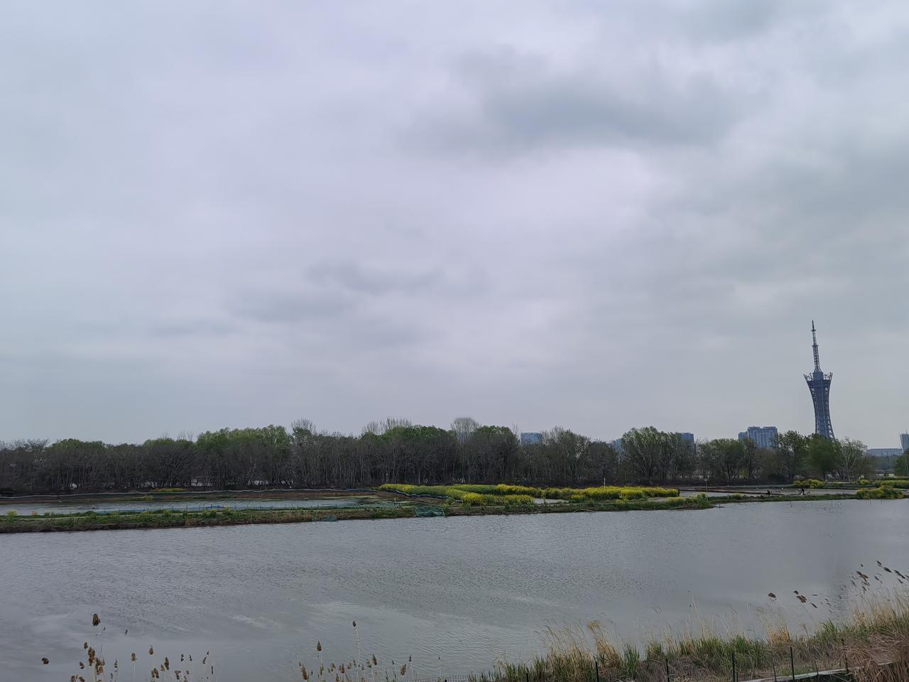 老屋仍在，归心已怯
清明雨，故土烟，总有一处回不去的屋檐。
昨天陪妻子回老家祭祖