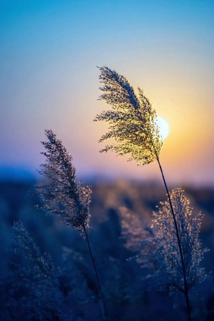 落日余晖映晚霞,一抹夕阳美如画。 