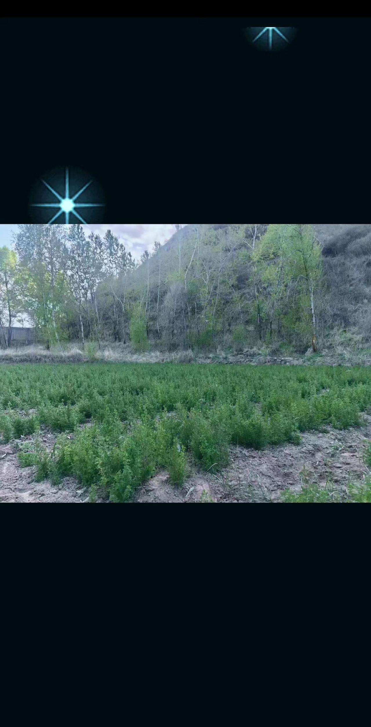 我的本意是一直陪着你，但我不能不要脸的一直缠着你，既然你这么想错过，那就错过吧…