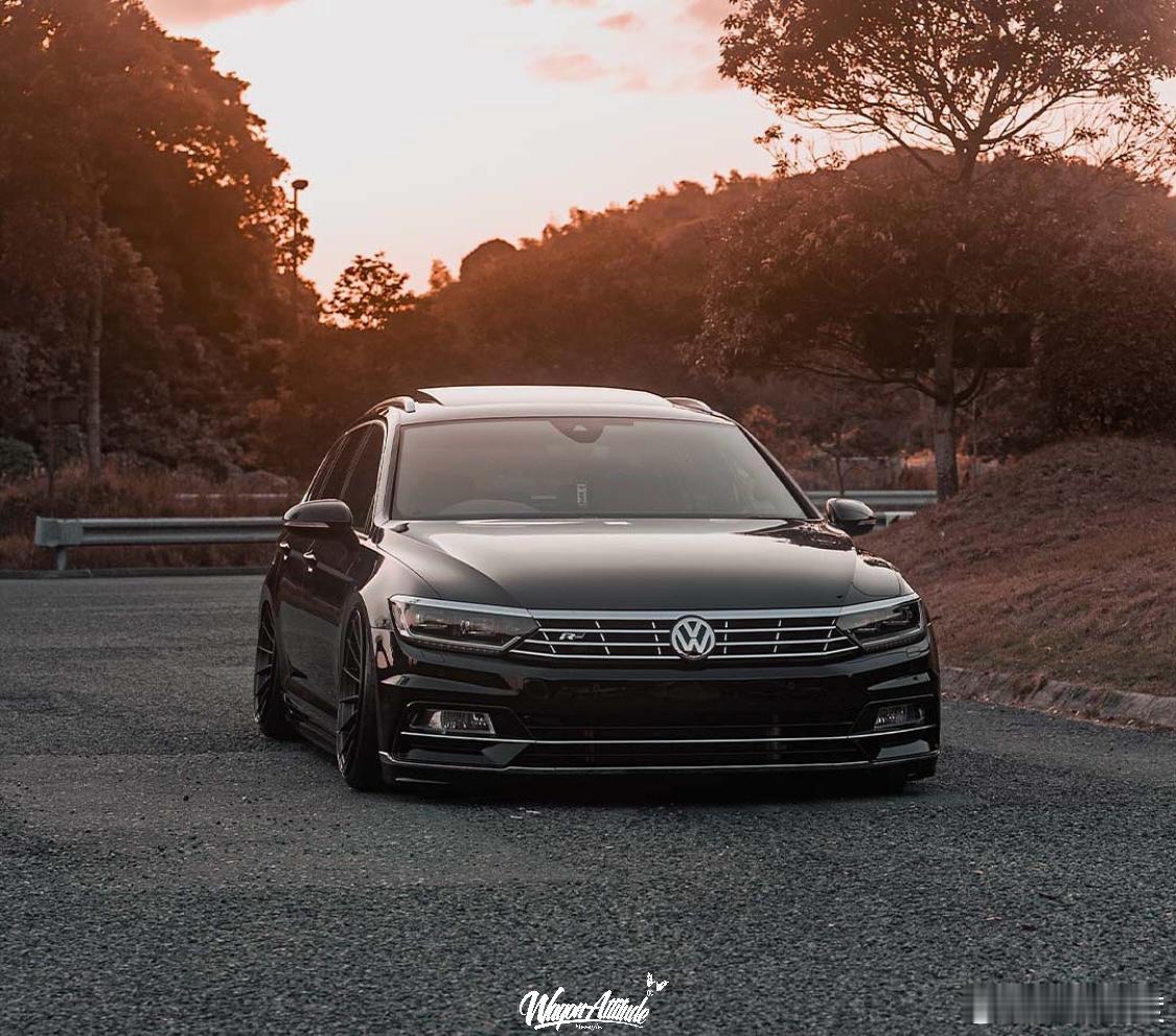 WagonAttitude® ❷⓿❷➏ ²′²⁶ ☀️现｜针头不大·可扎人最疼实