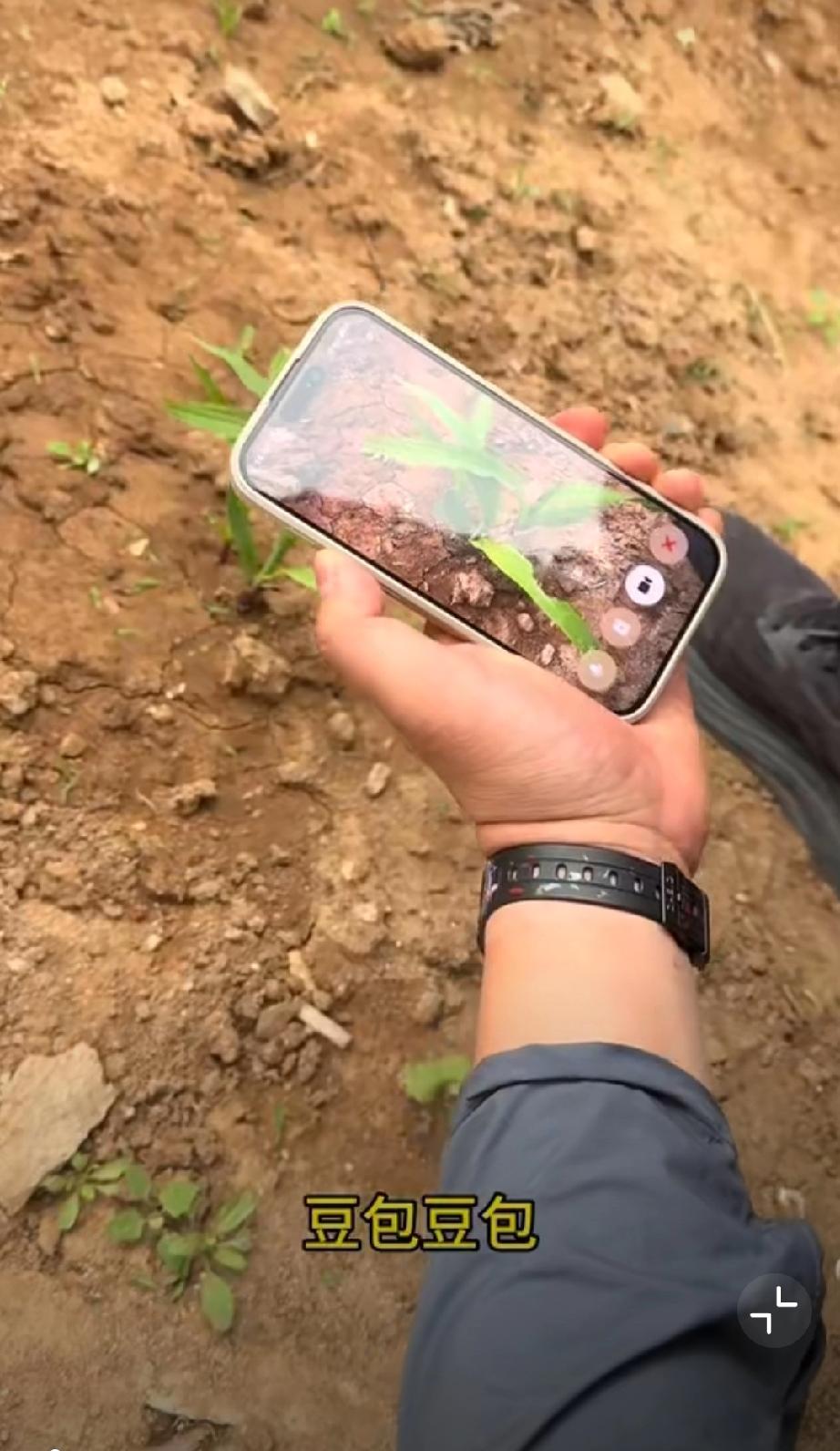 拔完之后看着清爽多了…😂😂😂AI科技潮玩 AI未来讨论  AI技术