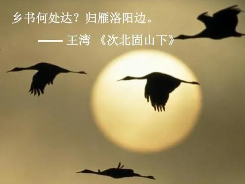 下联：数声寒雁远天孤。
解析：上联呈现大地因北风而变白的情境。此联刻画几声寒雁在