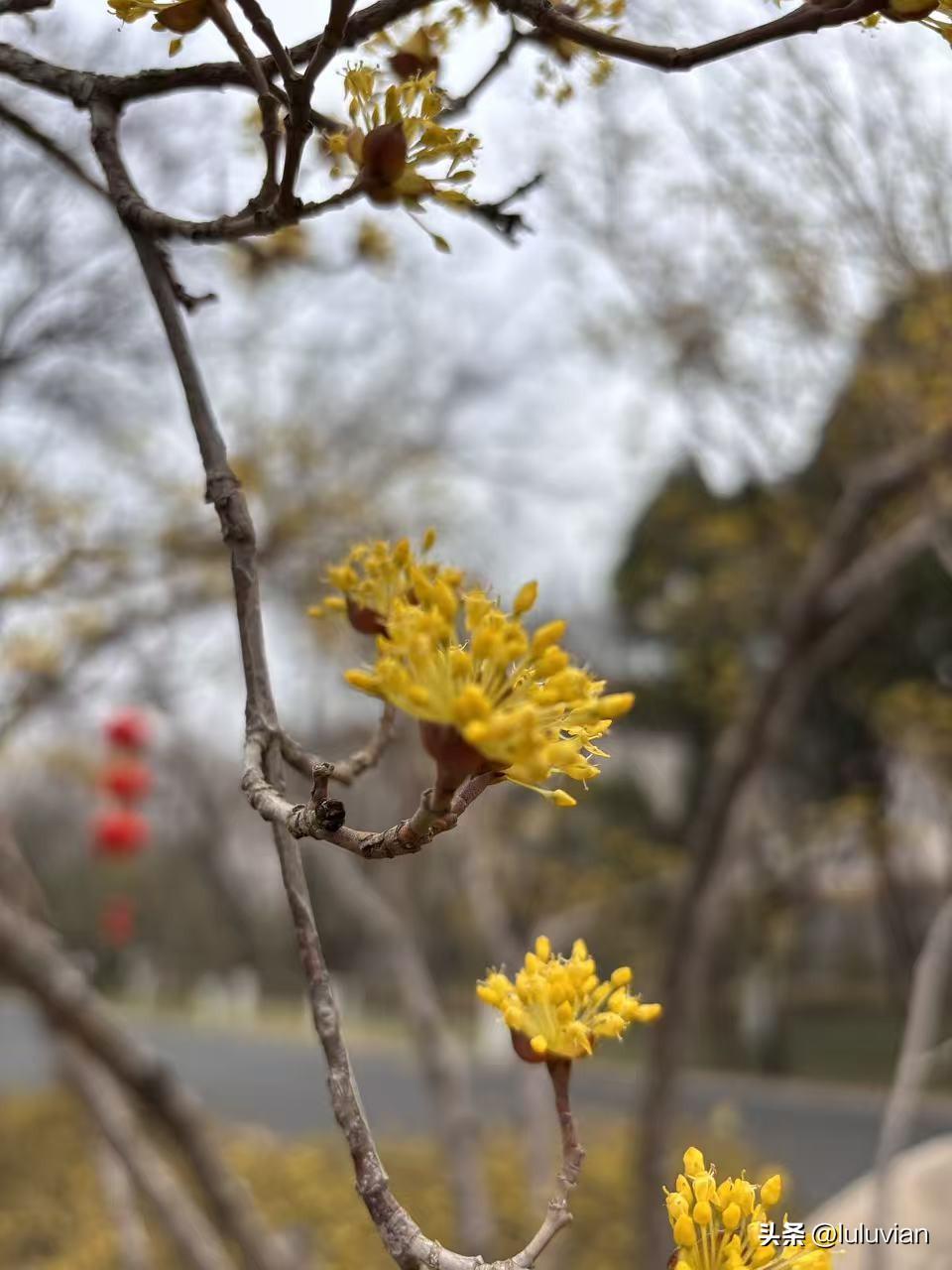 平时省吃俭用省下来的钱这几天全亏在基金里，上周五全部赎回，12%的本金没了。
年