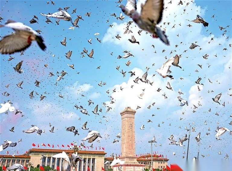 有个死结，很多人没想明白。
日本不是不承认自己输了，而是不承认是输给了谁。
在他