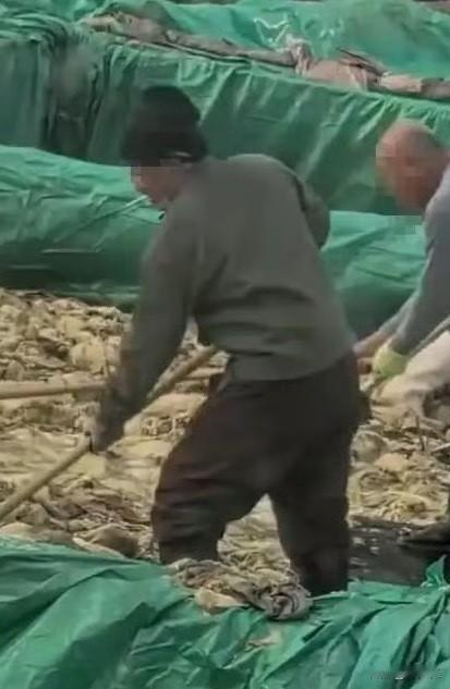 📌 一、事件核心事实：工人抽烟吐痰，卫生乱象属实
现场画面曝光
2025年10