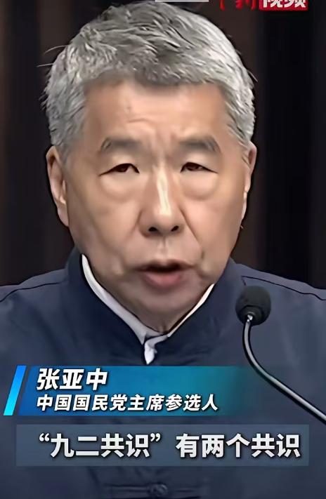 “九二共识”指的就是“一个中国”原则，而张亚中却打着一个中国原则的旗号，却歪曲一
