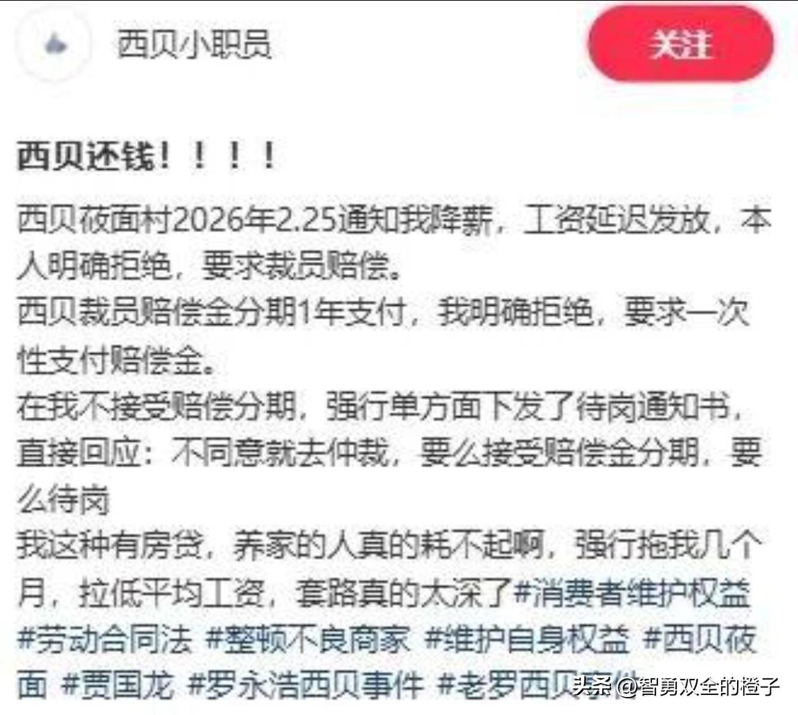 事实胜于雄辩，某报的几篇评论，就是压垮西贝的最后一棵稻草！

近日，有西贝员工爆