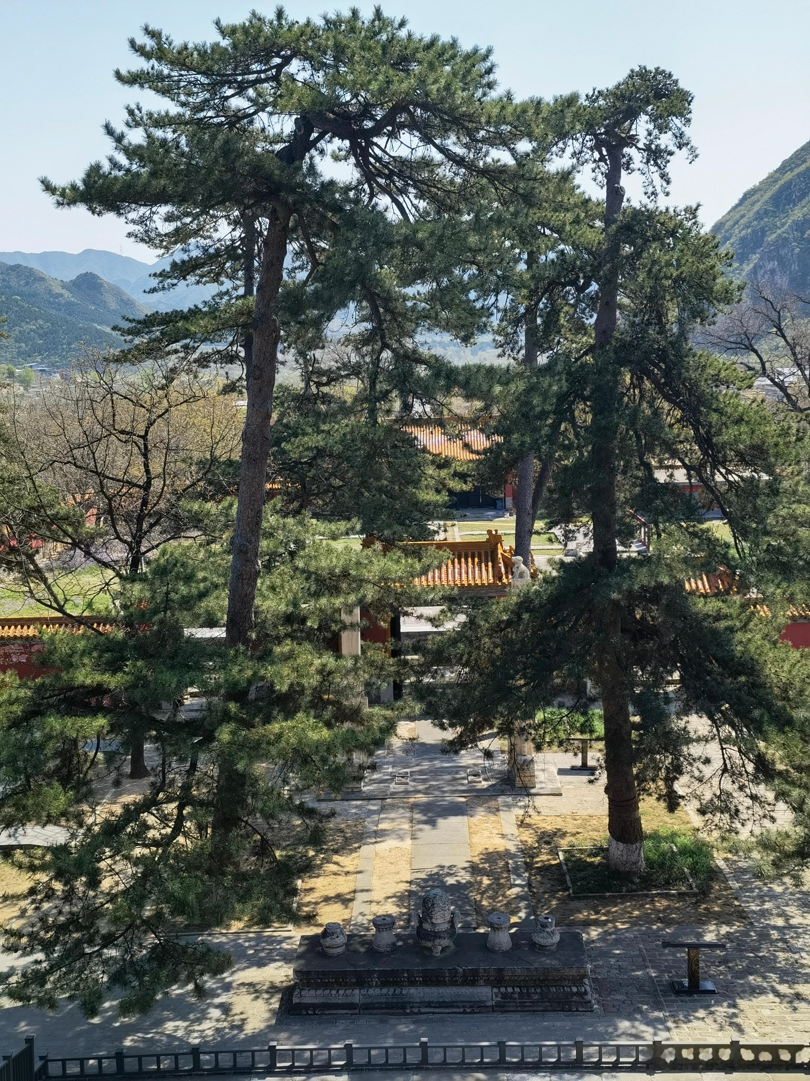 康陵松风 北京·明十三陵-康陵