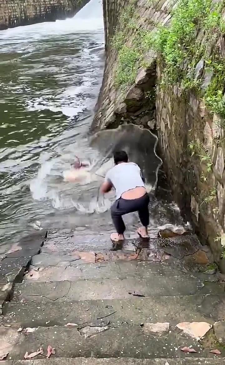 大爆网，根本吃不完。