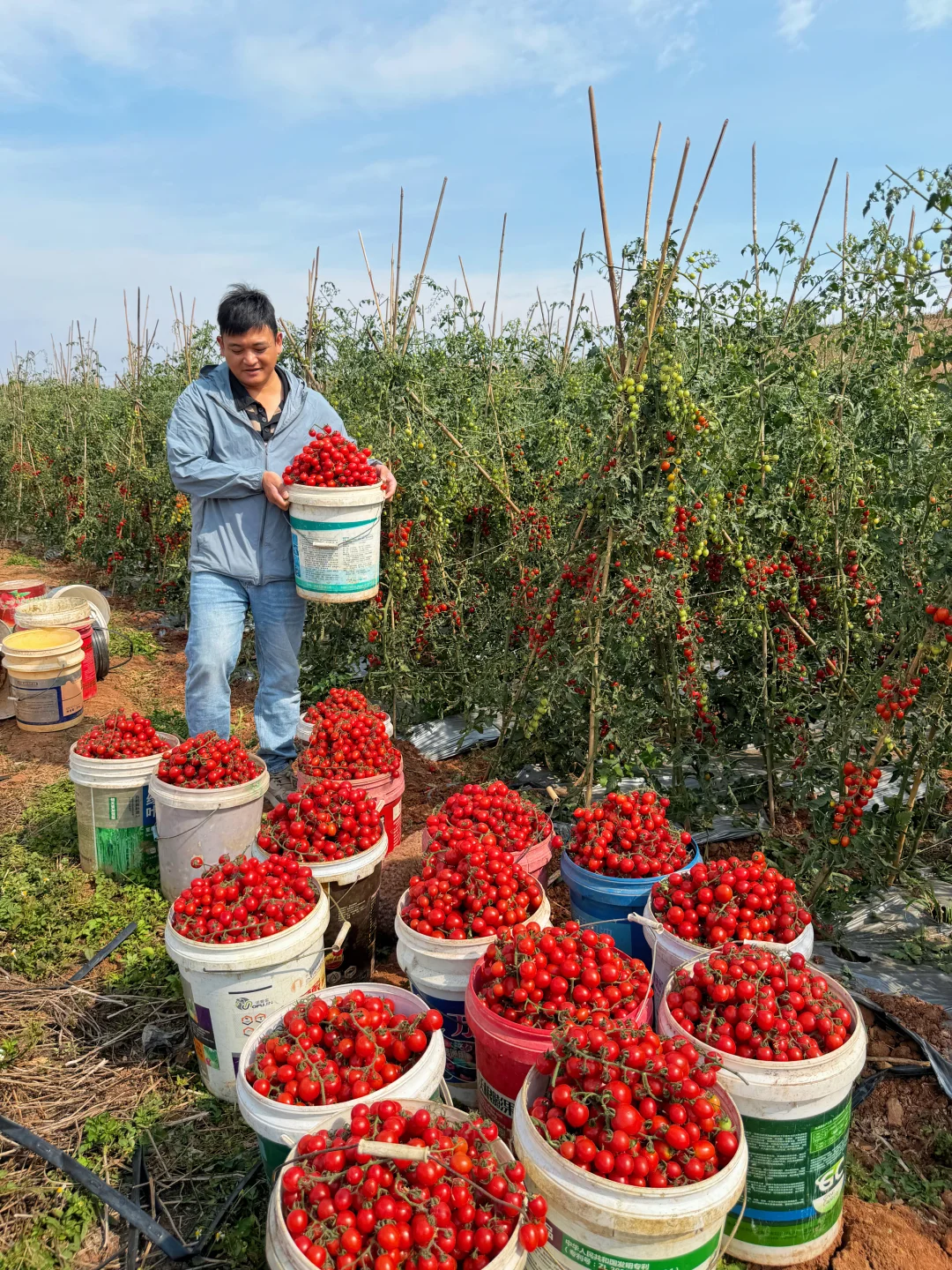吃了一口我就发誓一定要让他走出大山！