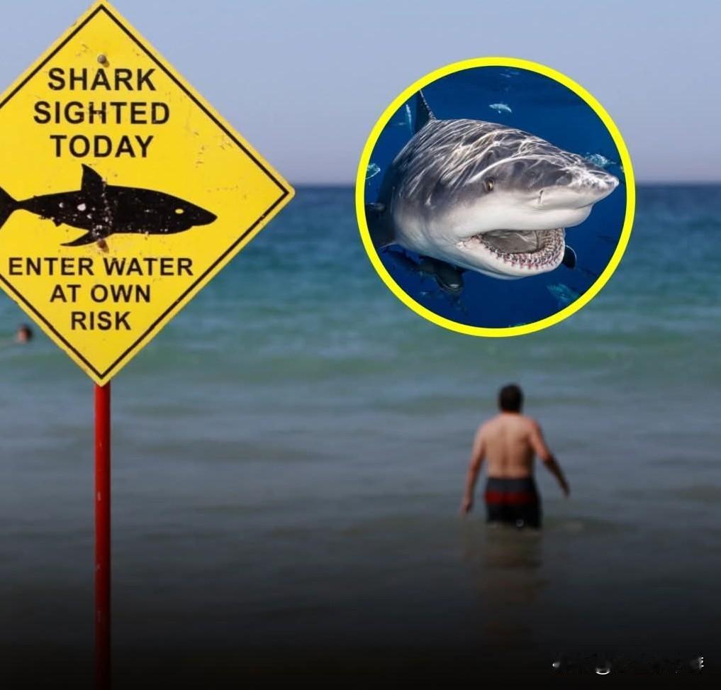 2026年1月20日，一名39岁的冲浪者在澳大利亚普洛默角（Plomer Poi