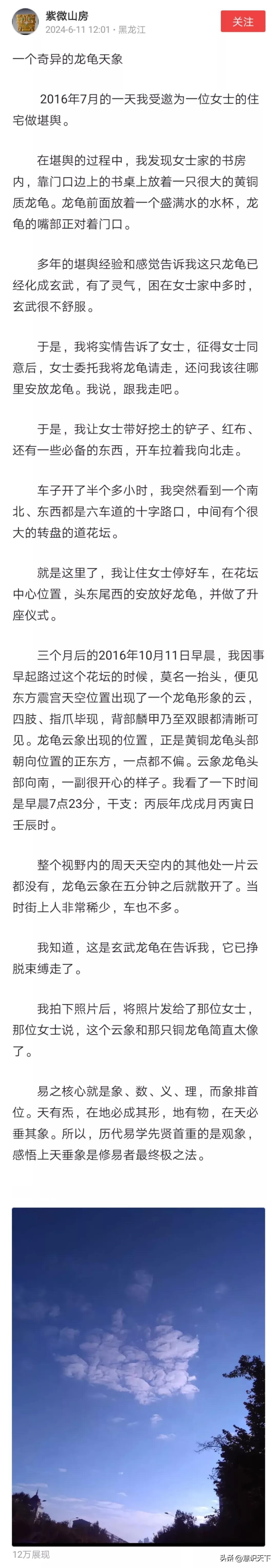 我也收养了一只龙龟
今天早读，读到截图中的文章。忍不住吐槽一下我收养的这只龙龟。