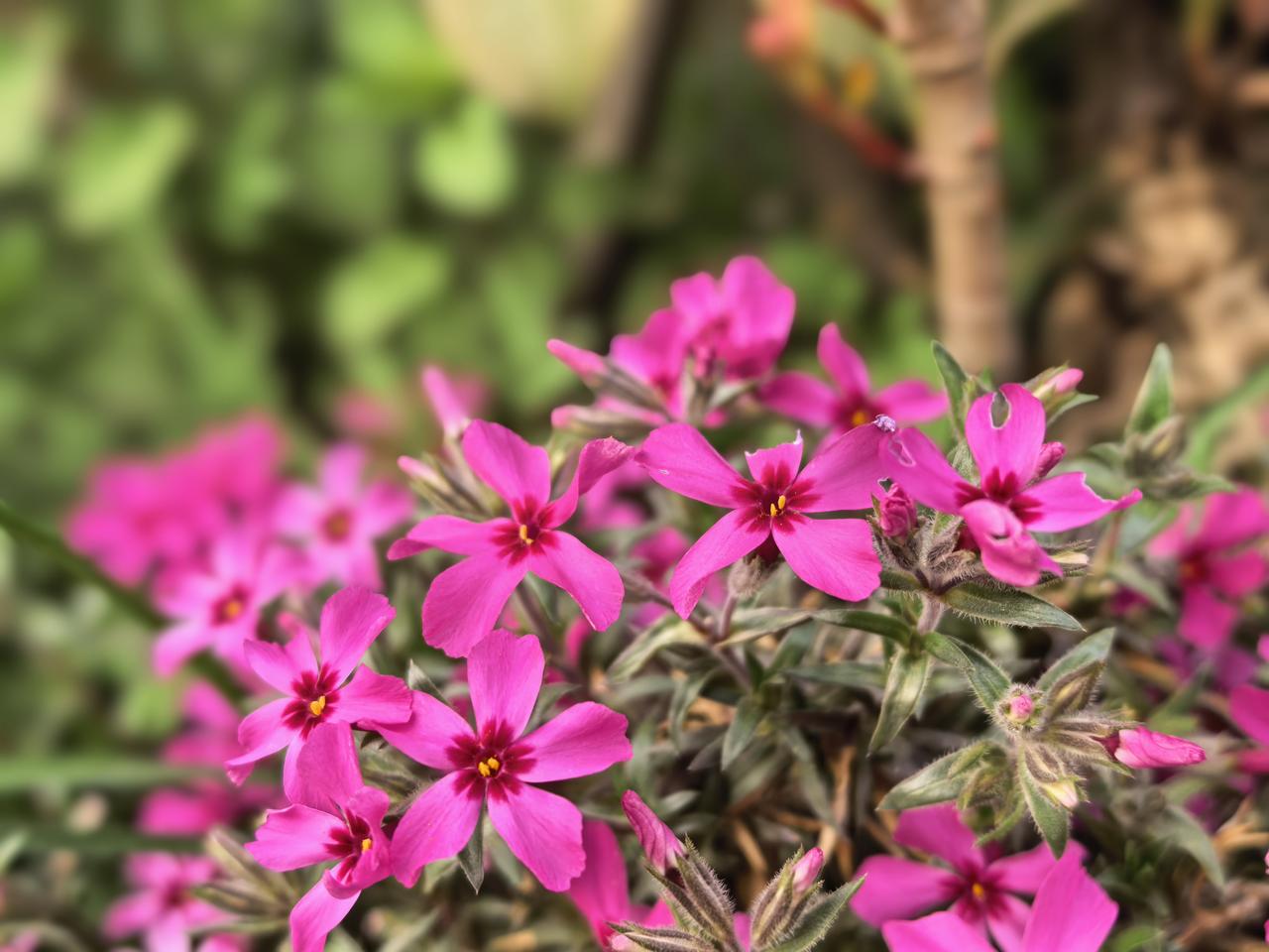 收拾房子真的太心烦了😮‍💨

最近在家收拾房子，心情一直乱糟糟的，烦心事一桩