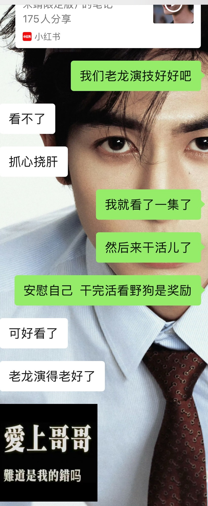 我说 我什么时候能看上野狗感觉全世界只有我没看