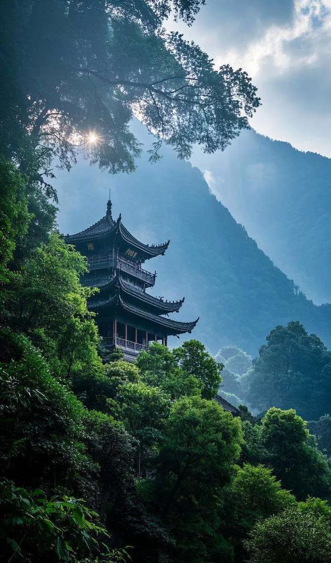 夏日生活打卡季 夏日去青城山打卡，简直不要太爽！青城山植被茂密，满眼的翠绿，就像