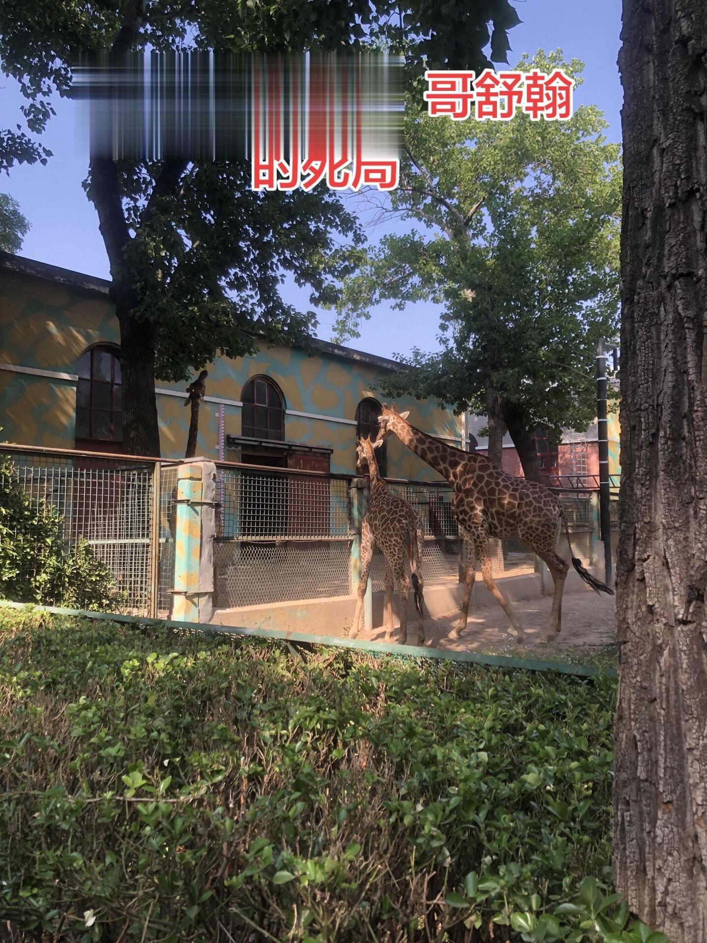 杨国忠给李隆基进的谗言是：“哥舒翰拥兵自重，有谋反之心，叛军很弱，潼关...