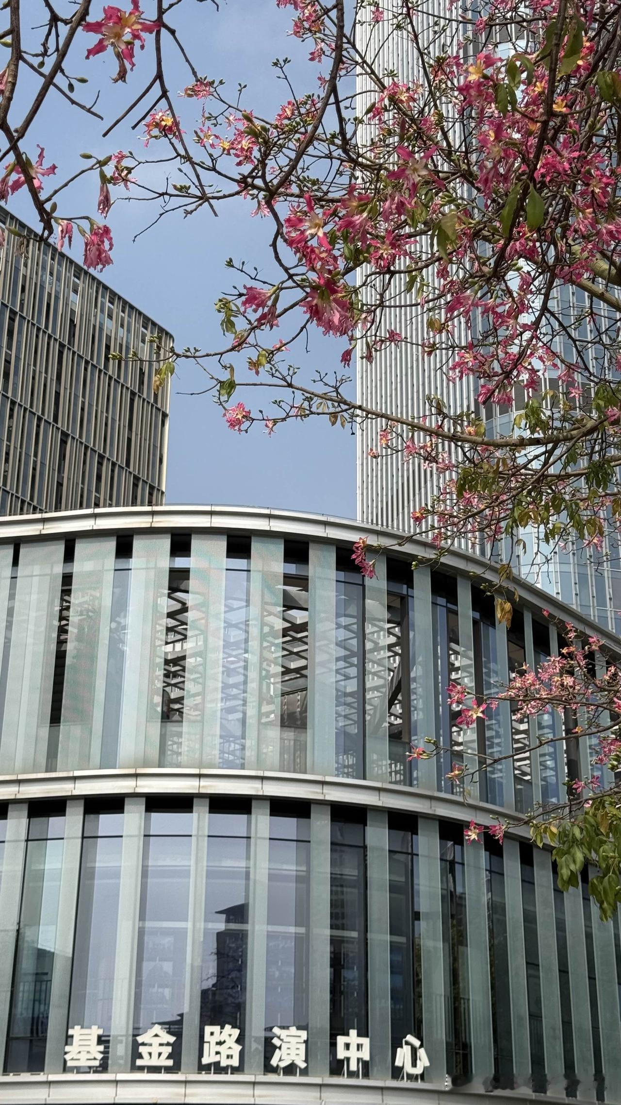 股市繁荣的关键是什么？直接的因素就是资金充裕，成交量不断放大，资金是推动股价上升