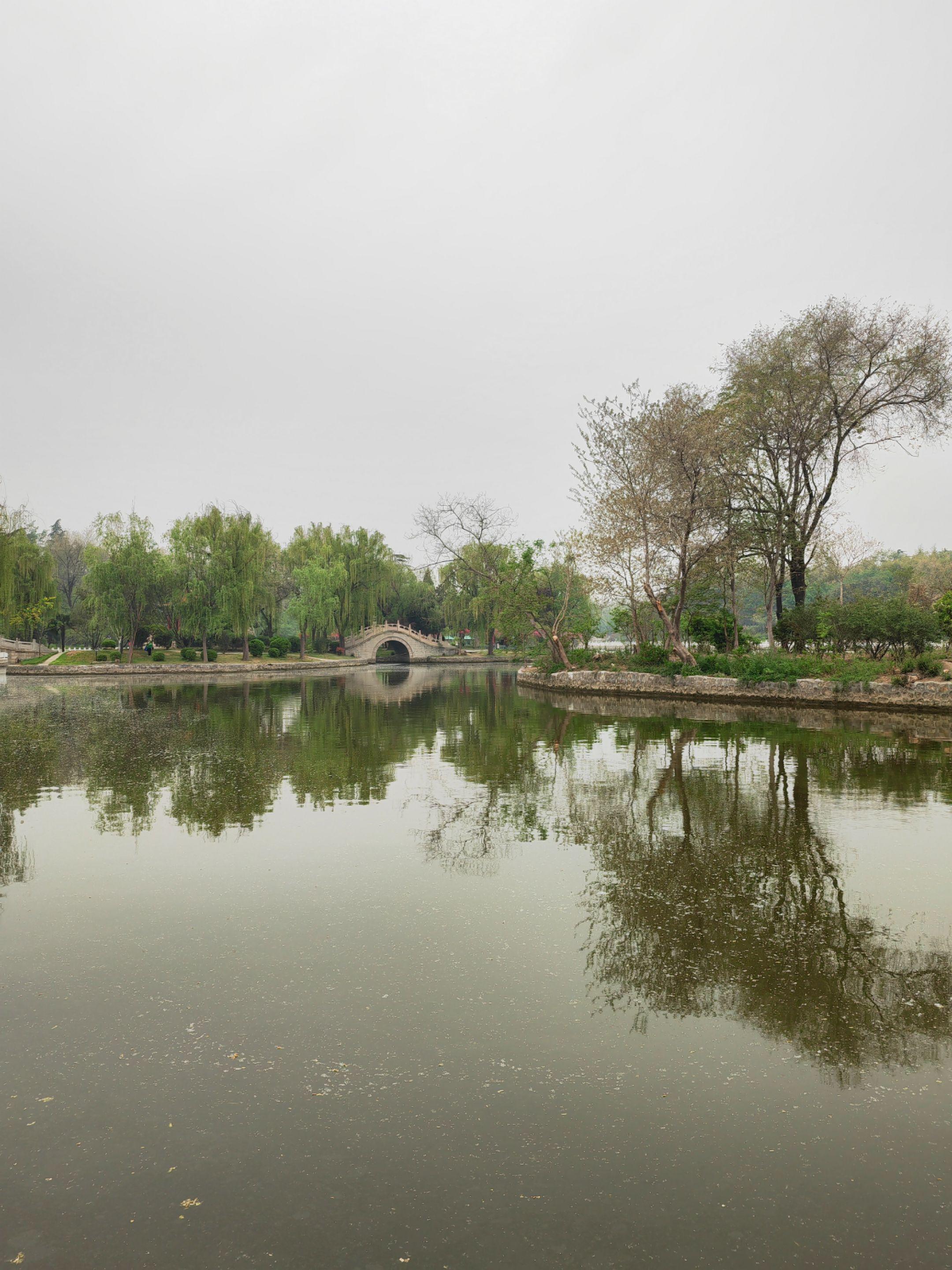 帕金森病警示征。