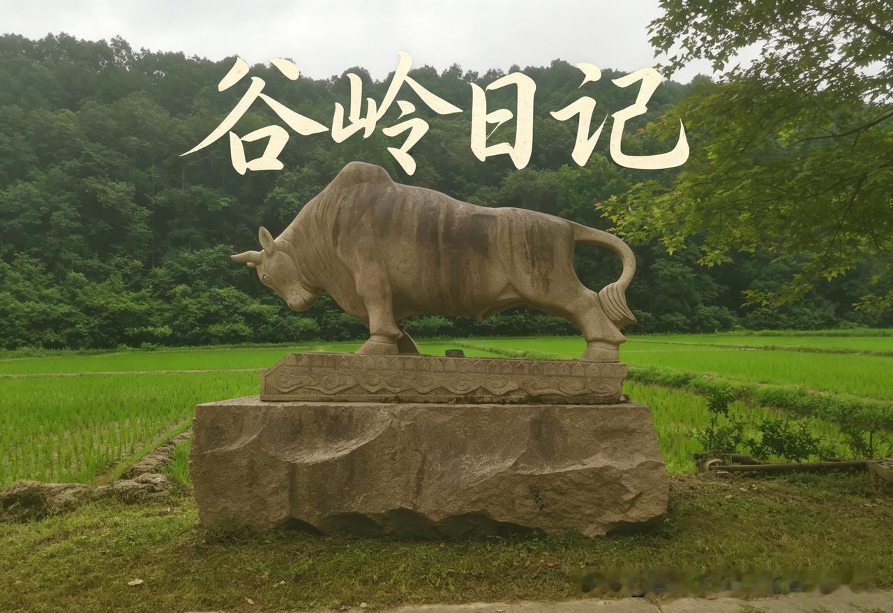 谷岭日记（2026年6月30日·晴）

上午接到一通电话，南昌陈女士打来的。她说