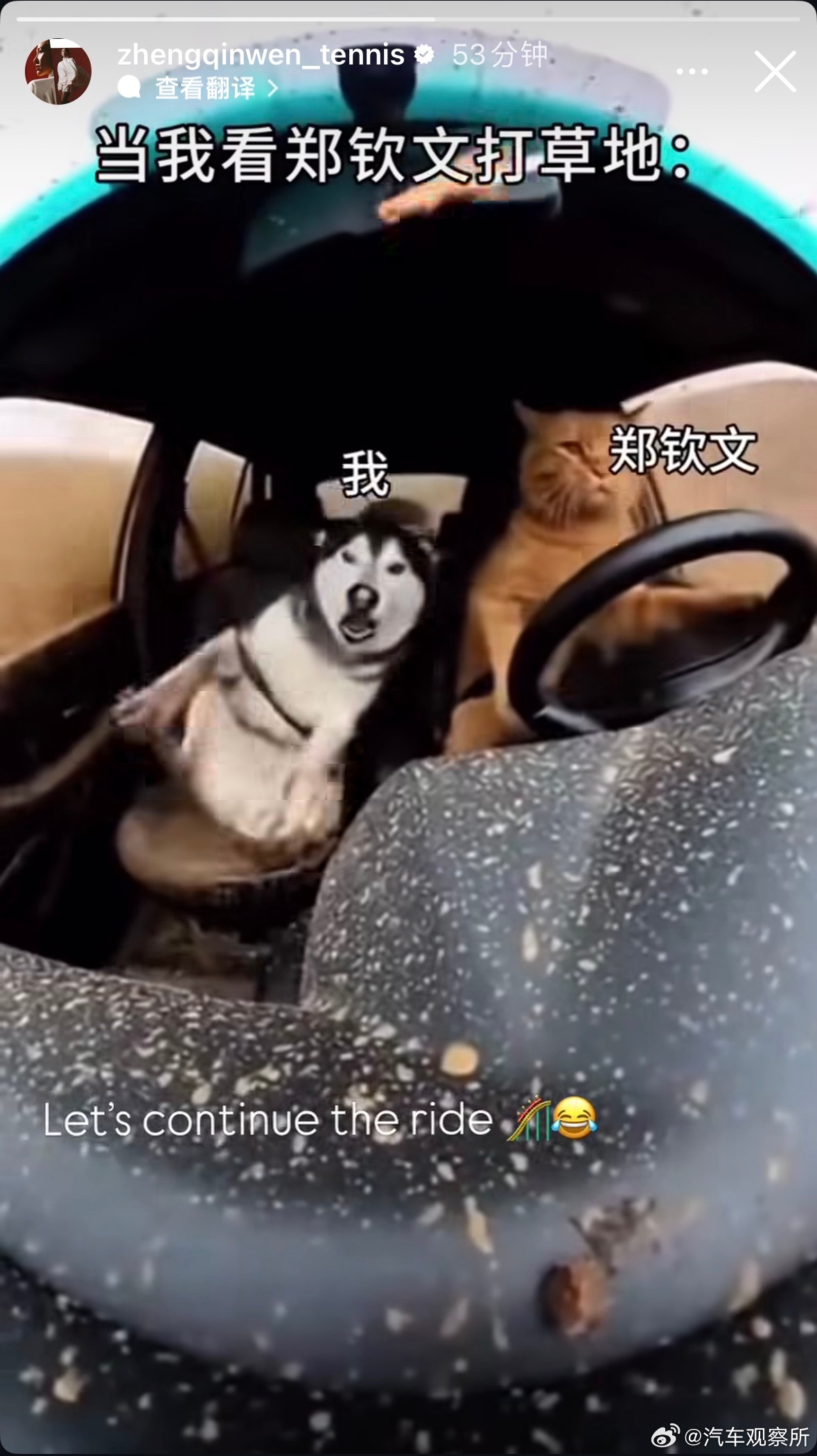 【郑钦文晒自己搞笑鬼畜视频】当我看郑钦文打草地6月26日，郑钦文在社交平台分享自