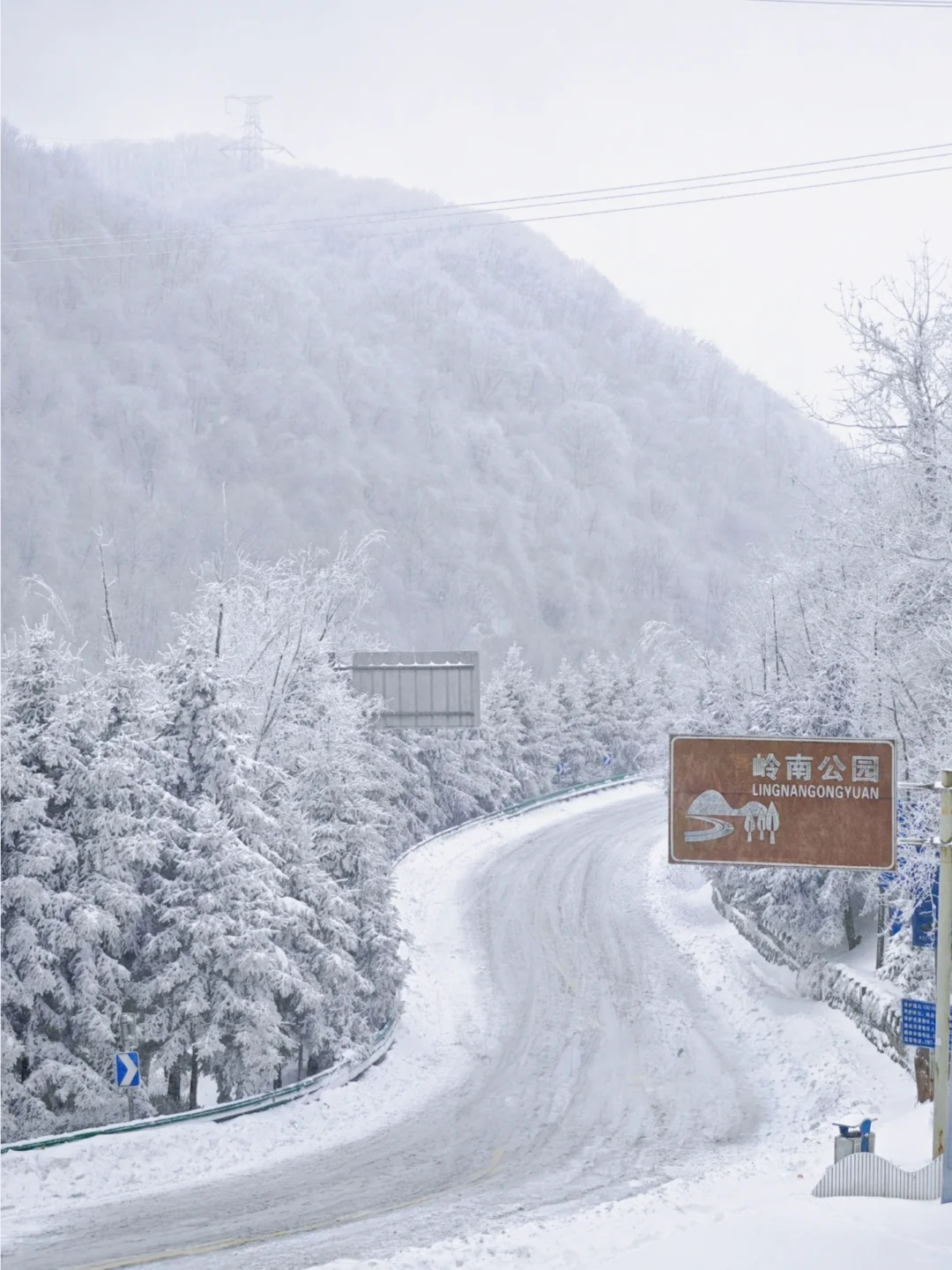 秦岭一日暴雪，岭南山河失色❄️