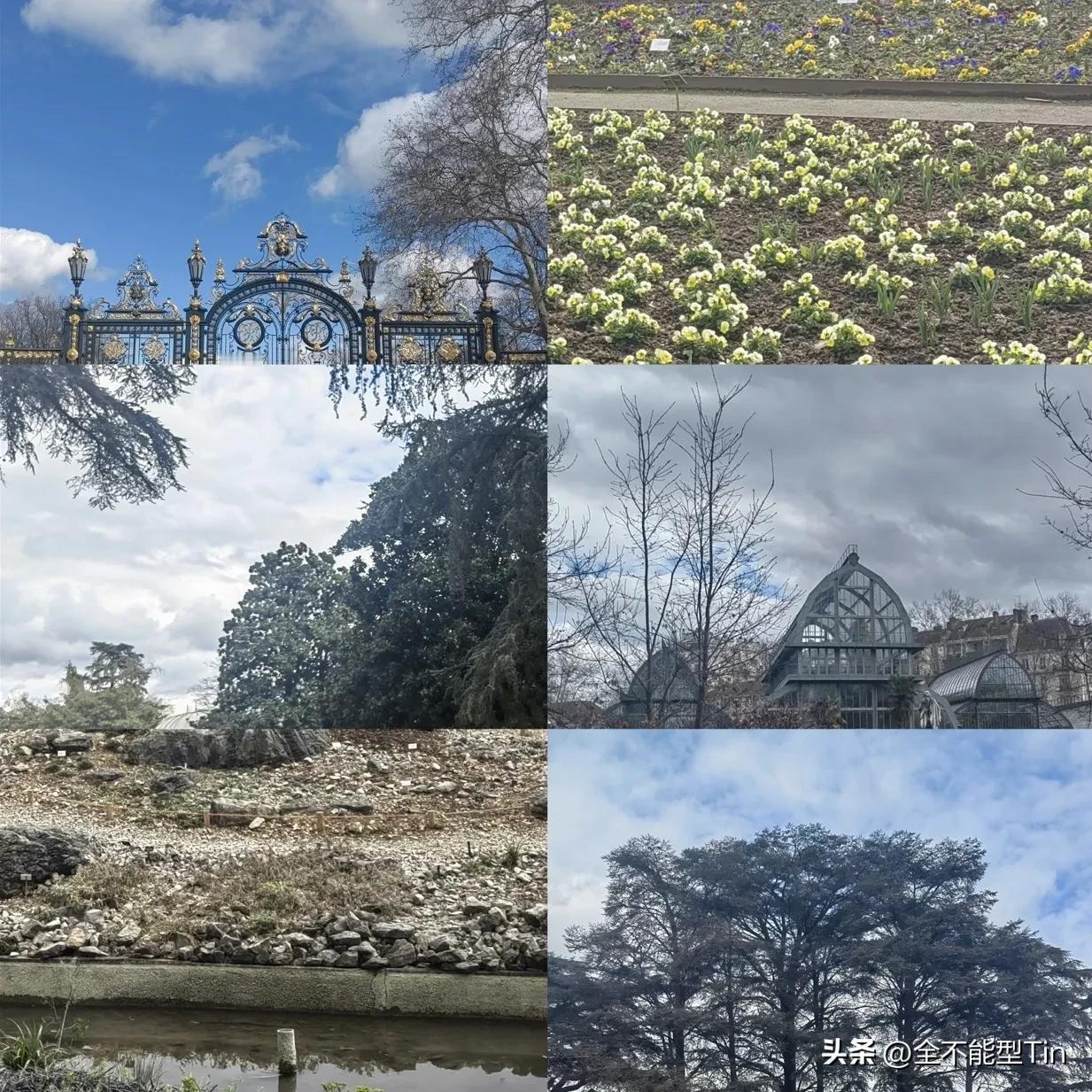 里昂植物园游记｜玻璃穹顶下的隐秘角落
在喧闹的城市旅行中，最难得的是遇见一个不需