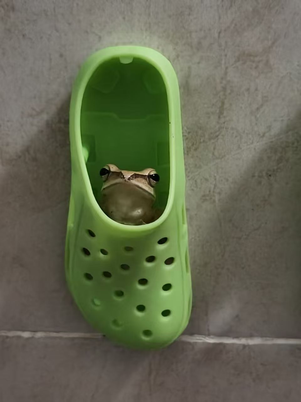 学长你好 ​​​