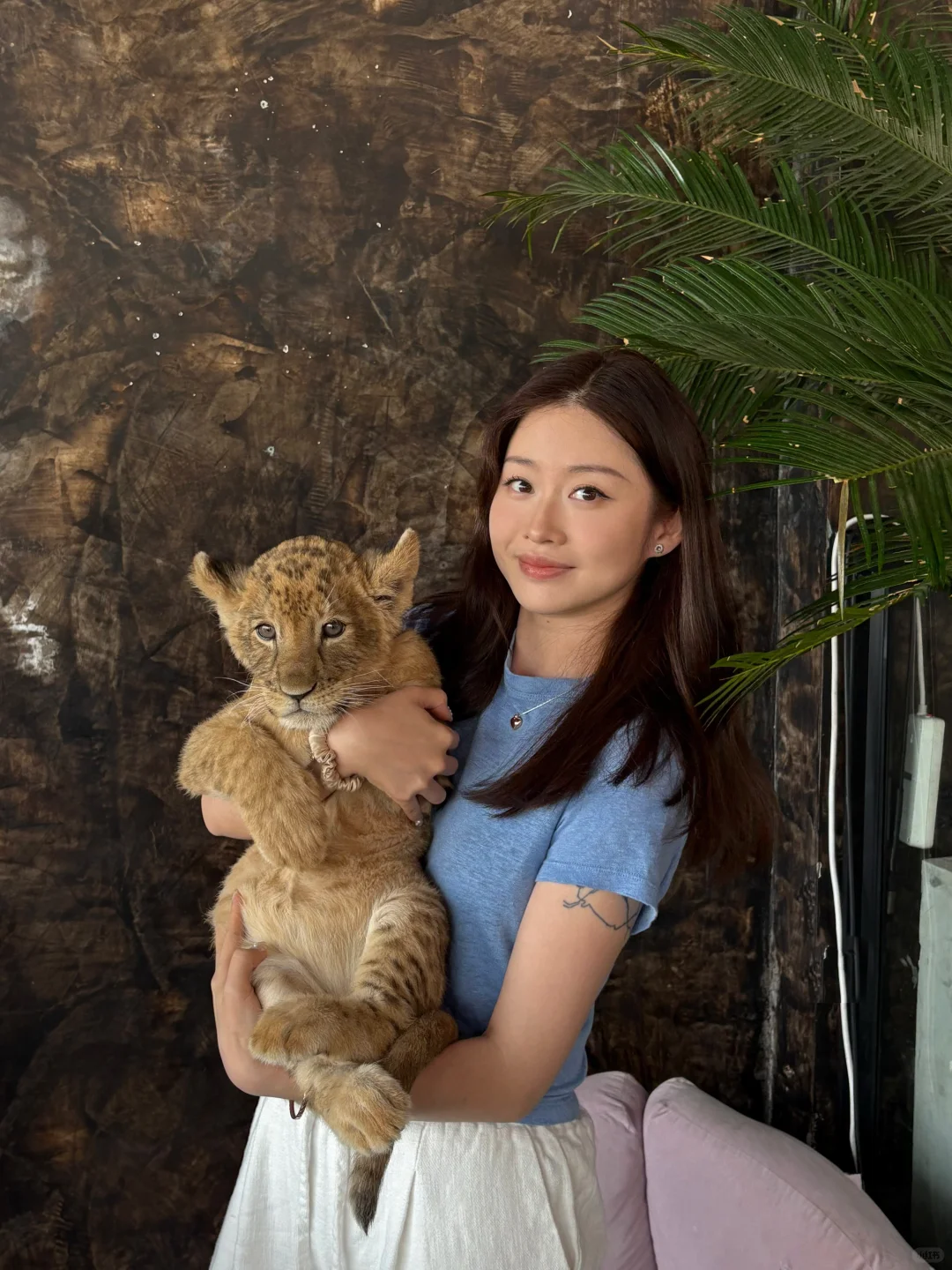 很高兴你也喜欢狮子