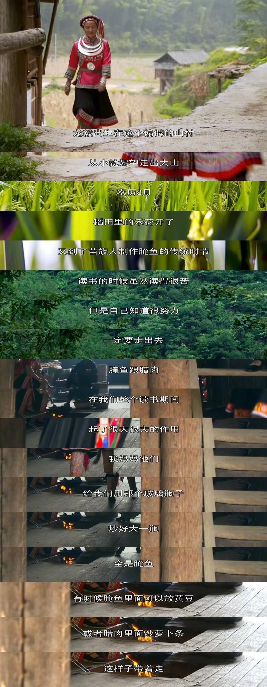 “天是越走越亮的” ​​​