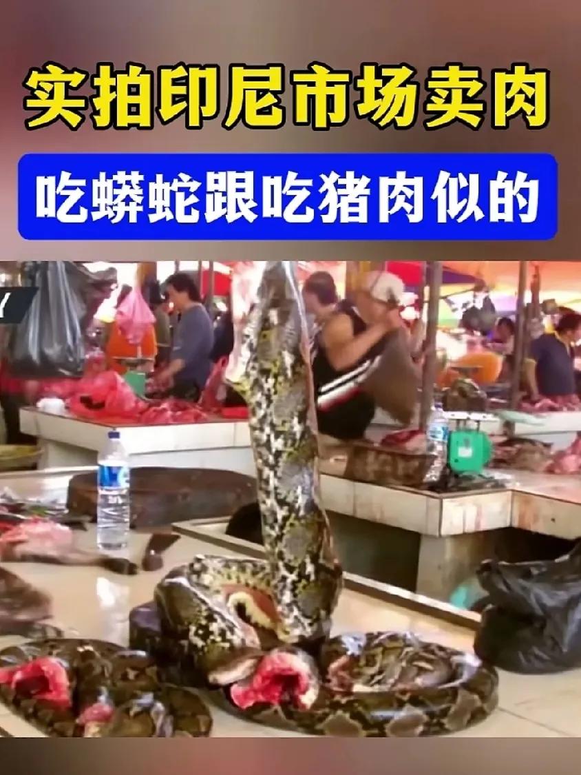 真的未曾料到，我竟如此孤陋寡闻了。在印尼的菜市场，我发现当地人吃蟒蛇就如同吃猪肉