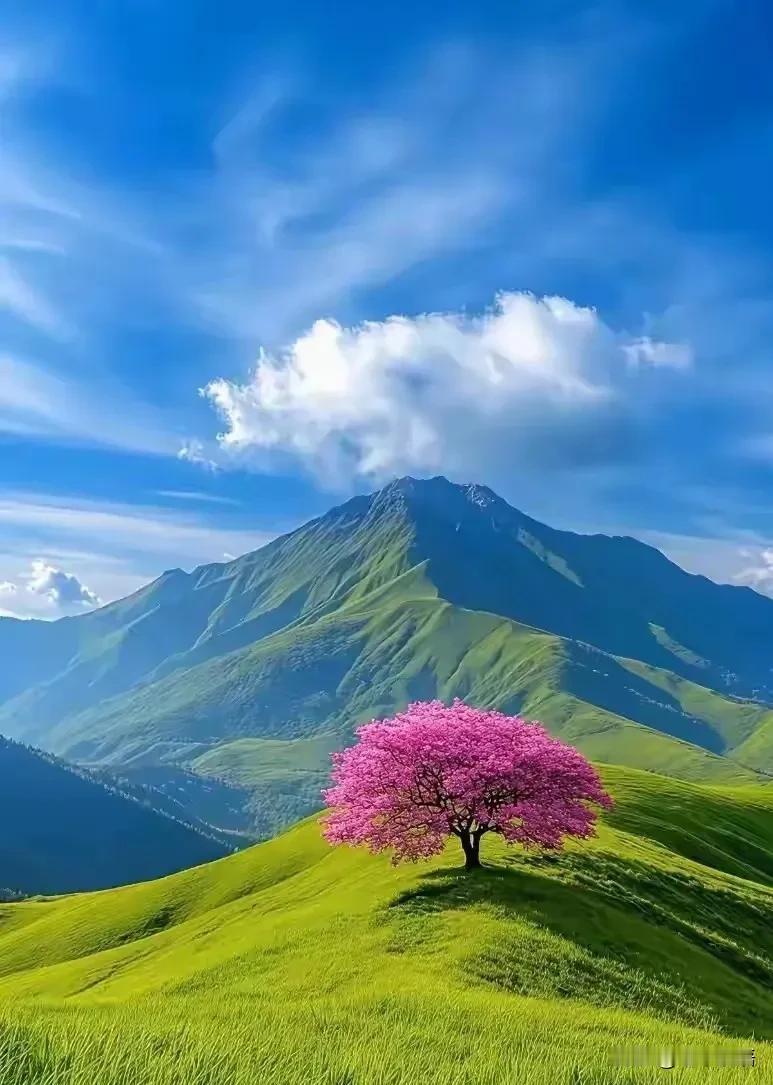 一段非常通透的话：“在两性关系的真相里，男人只要性满足，这世界就是天堂；而女人不